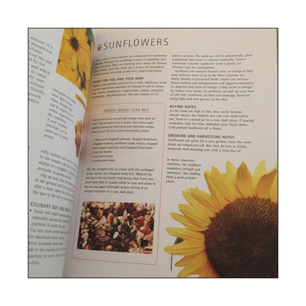 ๐ Super Foods for Pregnancy- Susannah Marriott - Picture 4 of 8